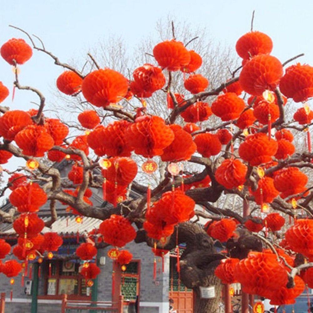 10pcs Chinese New Year Decoration Red Lantern Newyear Dragon Year Traditional Lanterns Wall Decor Japanese Lantern Asian Decor