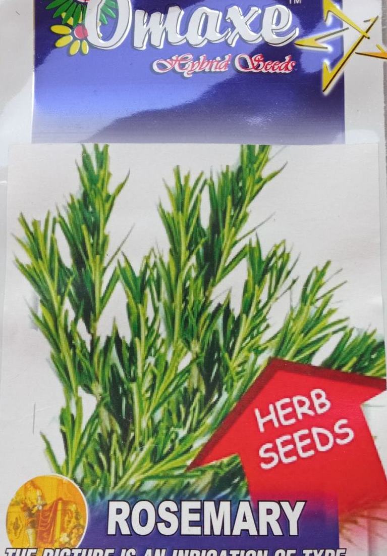 1 Packet Rosemary Seeds - Medical Herb 30 Plus Seeds
