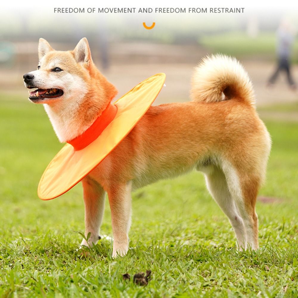 High Quality Oxford Cloth Dog Recovery Collar Breathable After Surgery Surgery Collar Iron Ring Anti-Bite Anti Lick Adjustable Collar Surgery Wound
