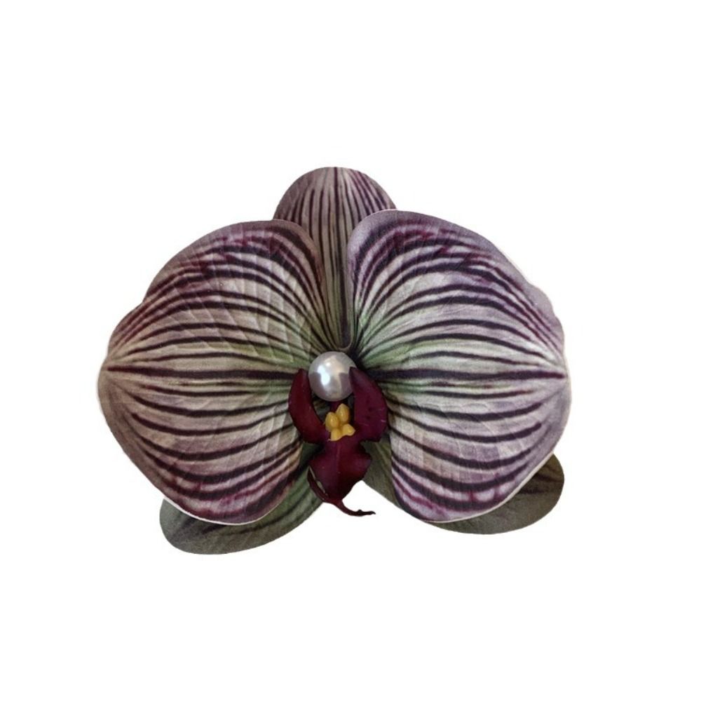 Fresh Plastic Butterfly Hollow Hair Claw Hairpin Headwear Rose Flower Claw Clip Grab Clip Hair Accessories Large Shark Clip Female