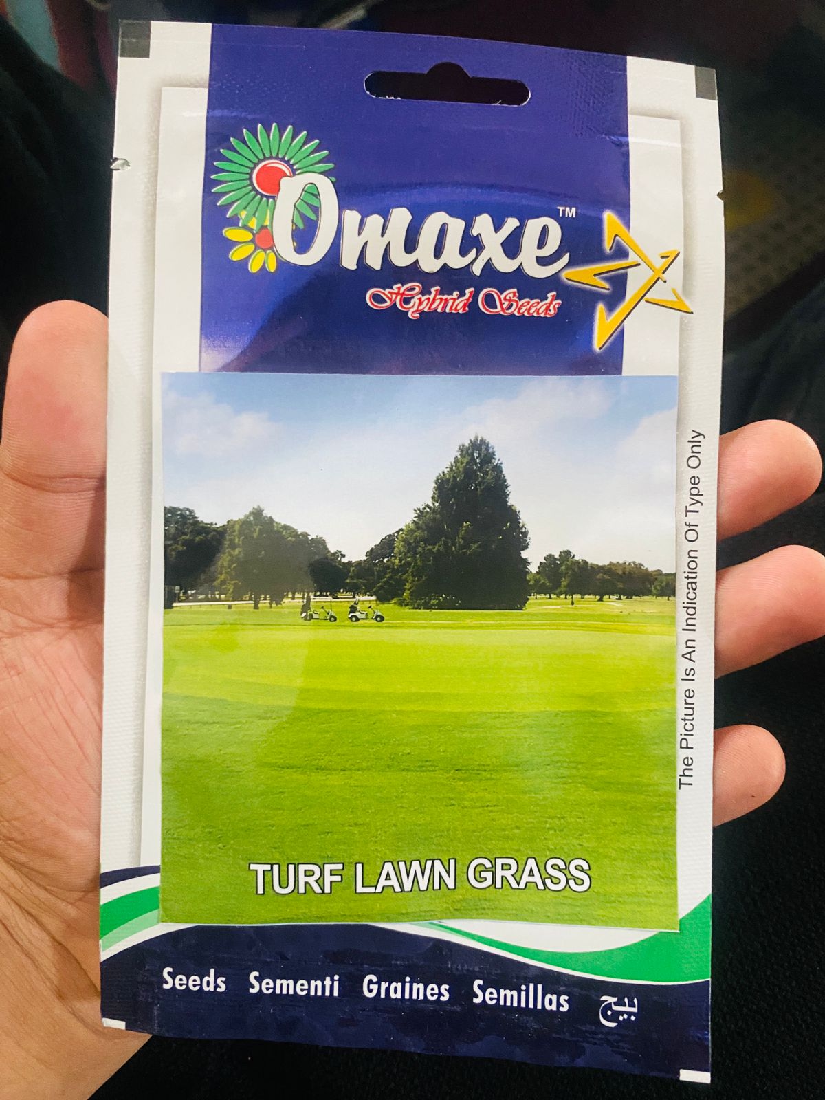 GRASS Seed - 1 Packet LAWN GRASS Omaxe Seeds By Savyata Stores For Kitchen Garden