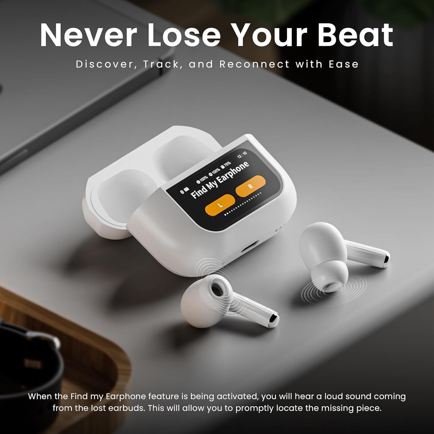 ANC display earbuds