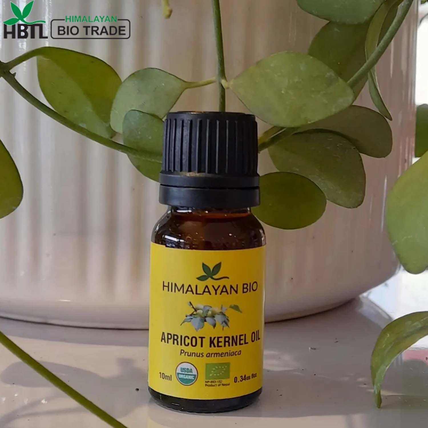 Himalayan Bio Apricot Carrier Oil , 10 ml