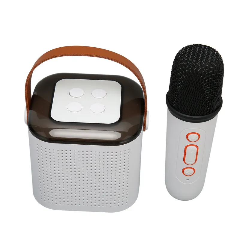 Bluetooth Speaker Karaoke Machine with Wireless Microphone, RGB Light, 6W Karaoke Speaker Supports Memory Card Playback, Covers Wide Range for Party
