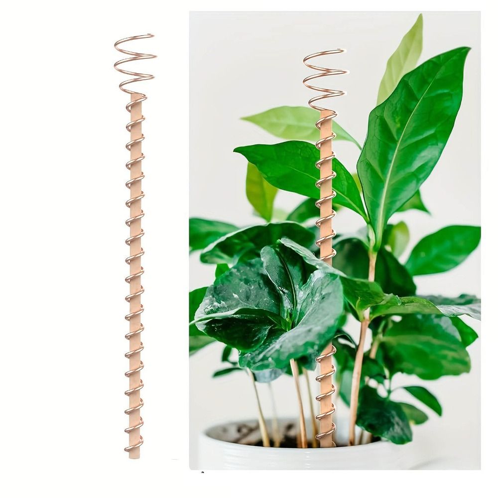 NEW 43cm Electroculture Plant Stakes Copper Coil Antennas Vegetables Using Ether Energy Gardening Growing Garden Plants DIY Electric Cultivation Plant