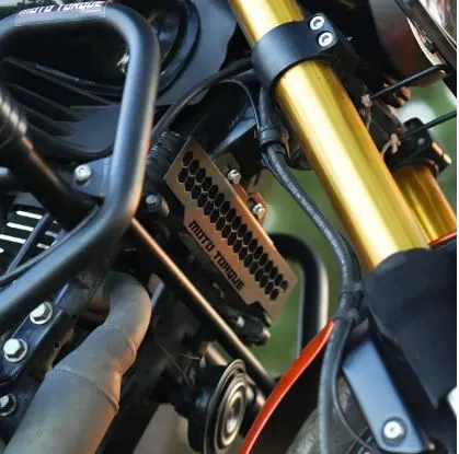 TVS Ronin - Radiator Guard MS