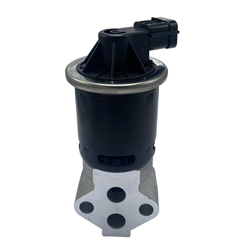 D4G15-1207010 EGR Valve Assembly for