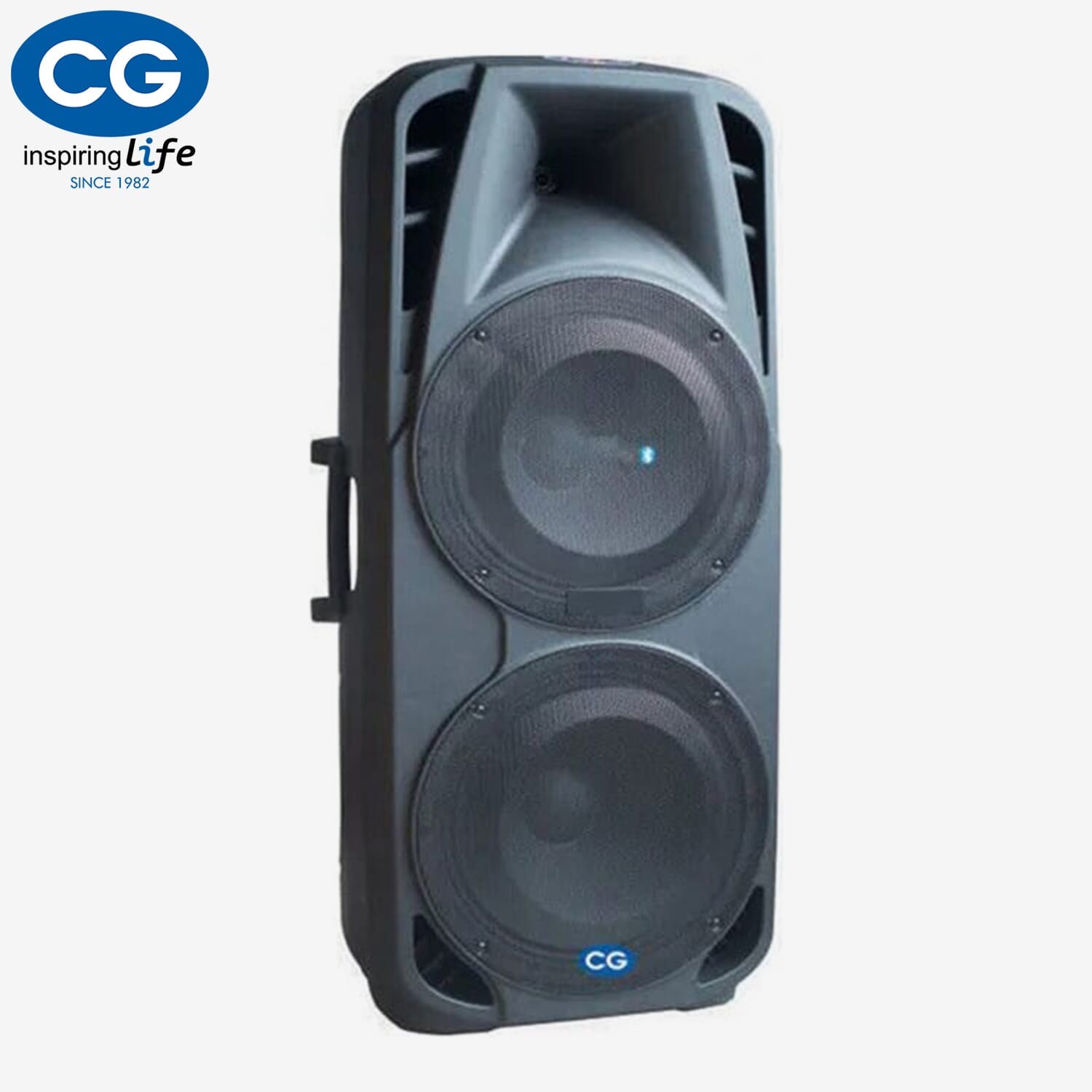 12 Inch Trolley Speaker, Model-CGTS12B01D, 1 Year Warranty