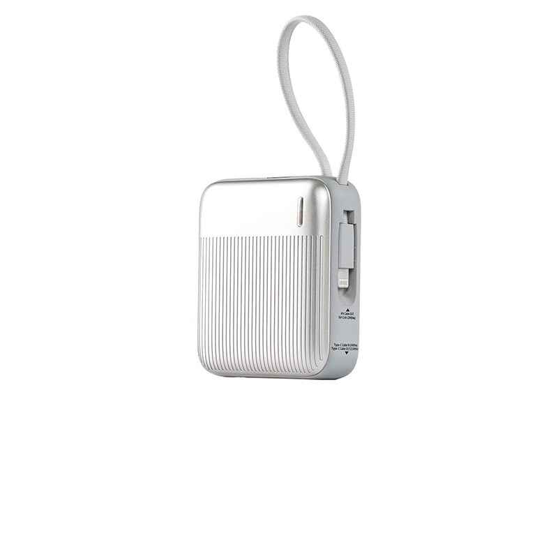 Remax 10000mAh Power Bank FC-05