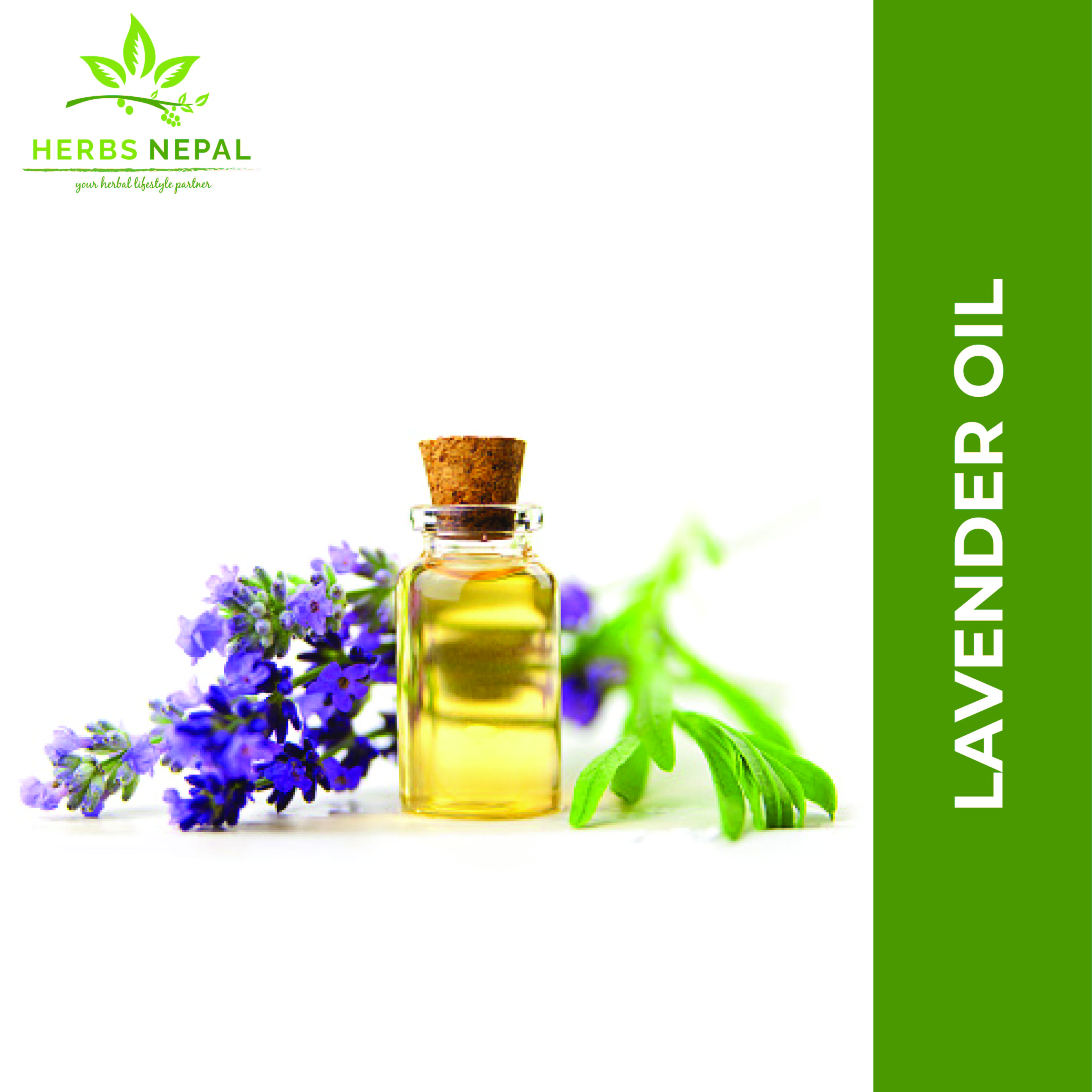 Lavender Oil 30 ml / Herbs Nepal