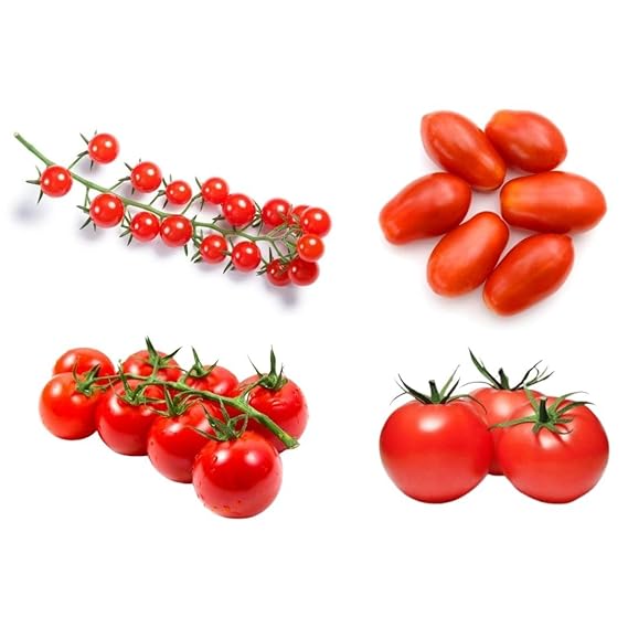 4 Verity Tomato Seeds Combo For Home Gardening (Cherry Tomato,Cherry Tomato Wild,Tomato Round Red,Tomato Heirloom) 5 Seeds Each Verity (Loose Pack)