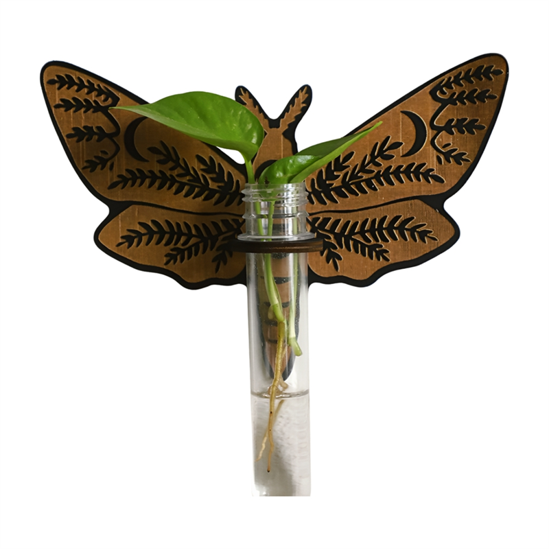 Butterfly Wall Mounted Breeding Station, Hanging Plant Holders, B