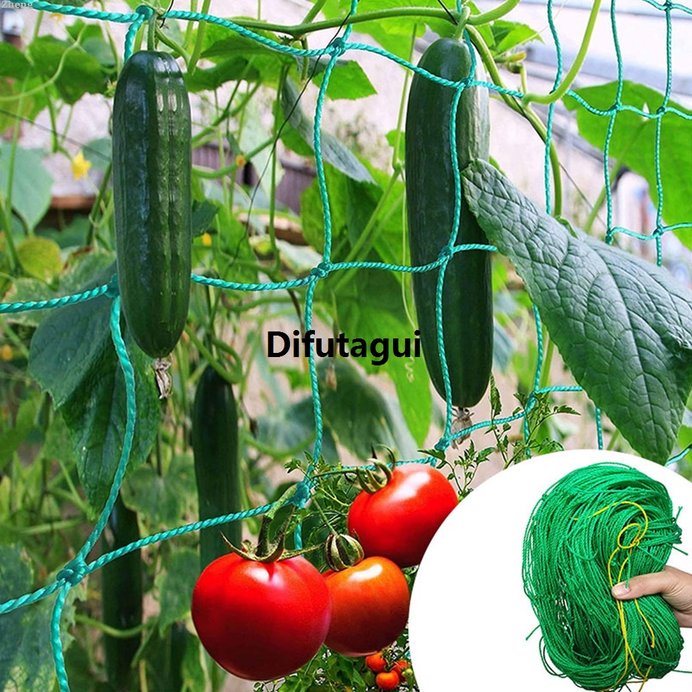 Difutagui Zheng Accessories Garden Grape Net Sturdy Plants High Quality Nylon High Bargain price Quality Trellis Garden Climbing Net Heavy Duty For Cucumber Tomatoes