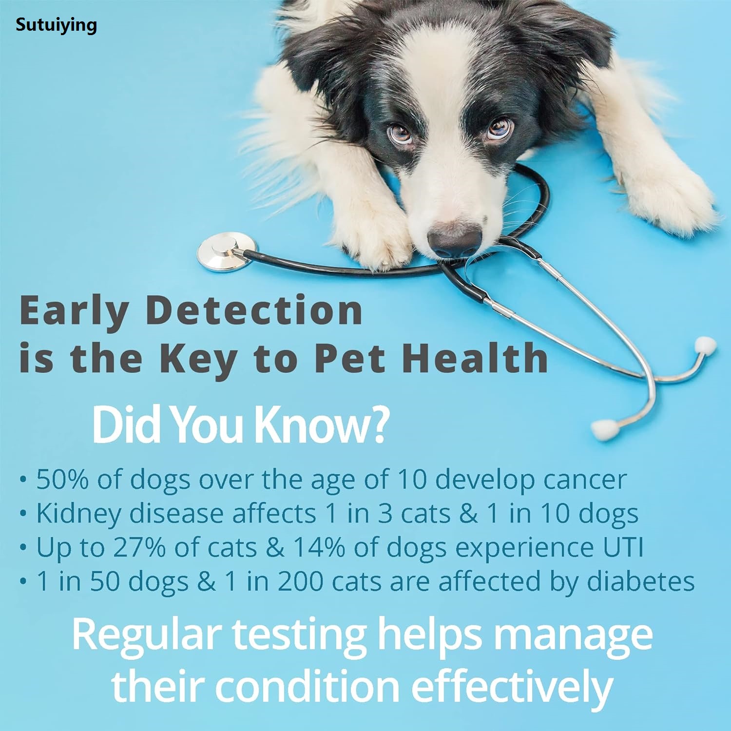 Sutuiying 10-Parameter Cat Dog Urine Test Strips 100ct, Cat Dog UTI Test Hot Selling Kit, Urinalysis Reagent Strips: Glucose, Specific Gravity, pH