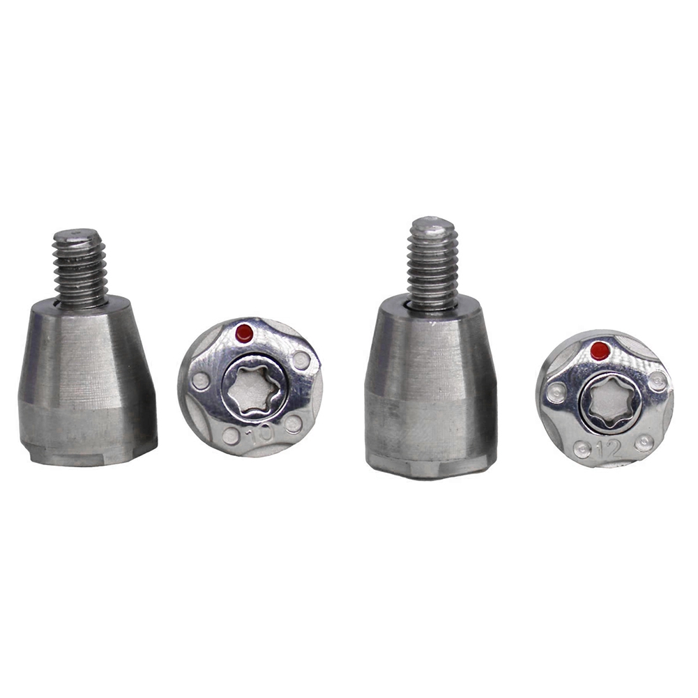 NAMUNY 4Pcs Multi Grams Golf Weight Screw Weight for R7 R9 R11 R11S Golf Weight Screw Driver,2 Pcs 10G & ​2Pcs 12G