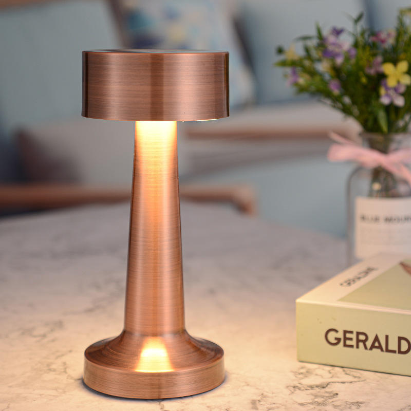 Modern Creative Casual Desk Lamp LED Warm White Dimmable Touch Control Battery Powered Metal Ornaments for Table Use