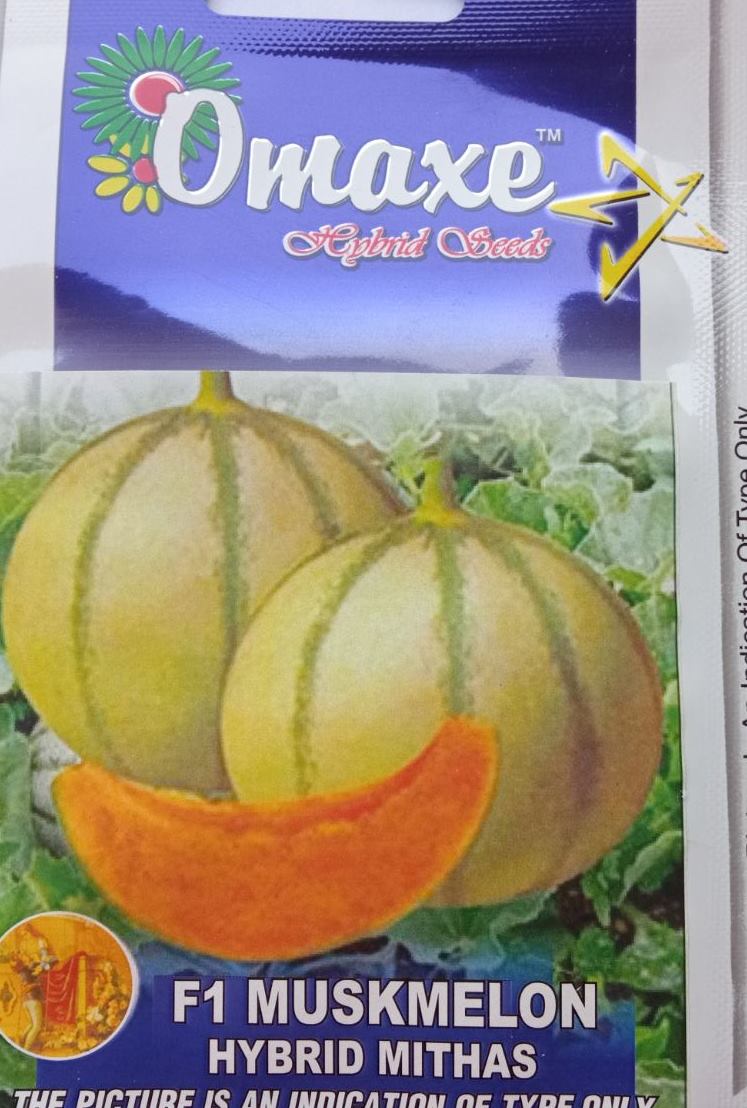 Fruit Seeds - Musk Melon Seeds 20 Plus Mithas Seeds