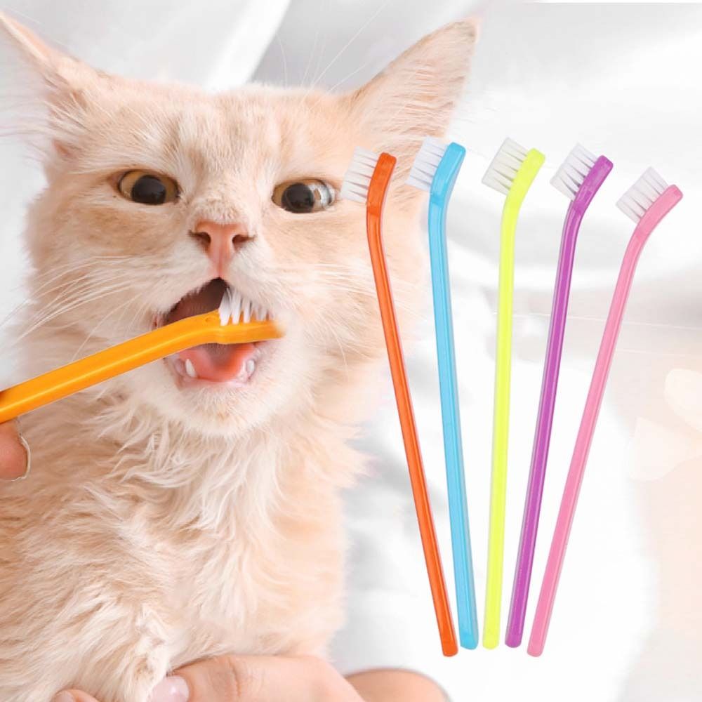 Creative Soft Dog Cat Cleaning For Small Size Pet Dog Cleaning Brush Pet Supplies Pet Brush Tool Dog Toothbrush