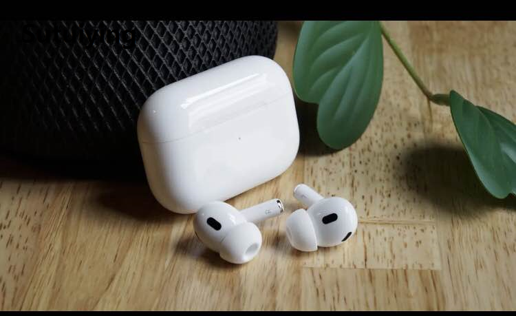 Sutuiying Pro 6 High Quality Earbud
