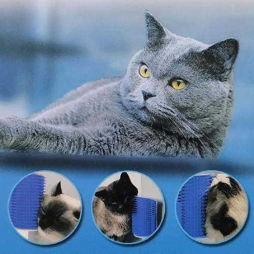 Cat Self Grooming Wall Brush for Cats and Dogs - Cat Groomer with Catnip, Massage Comb Tool for Long & Short Fur Pets