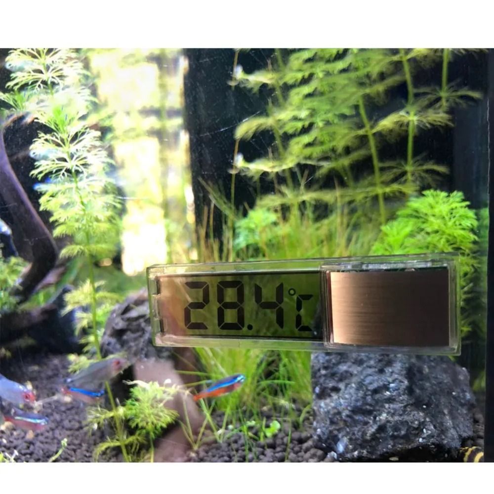 New Digital Measurement Electronic Water Temperature Gauge Aquarium Mini Temp Control Accessories Portable Fish Tank Thermometer