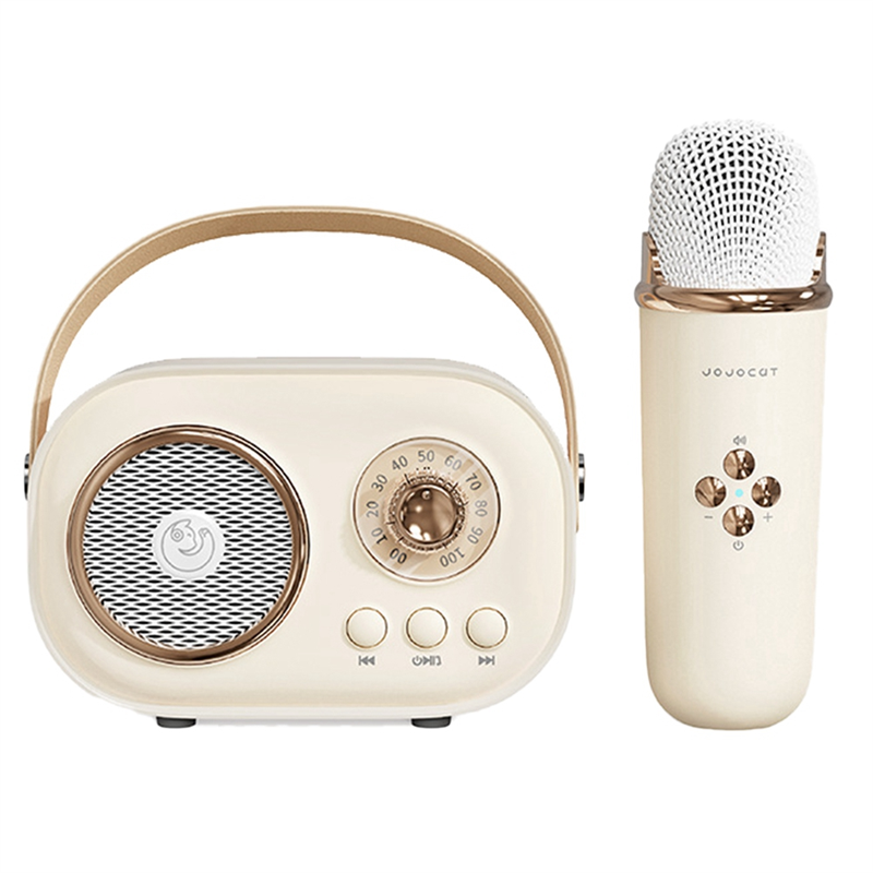 Bluetooth Speaker for Home Singing, Portable Bass Wireless Karaoke Speaker Microphone Home Ktv Set