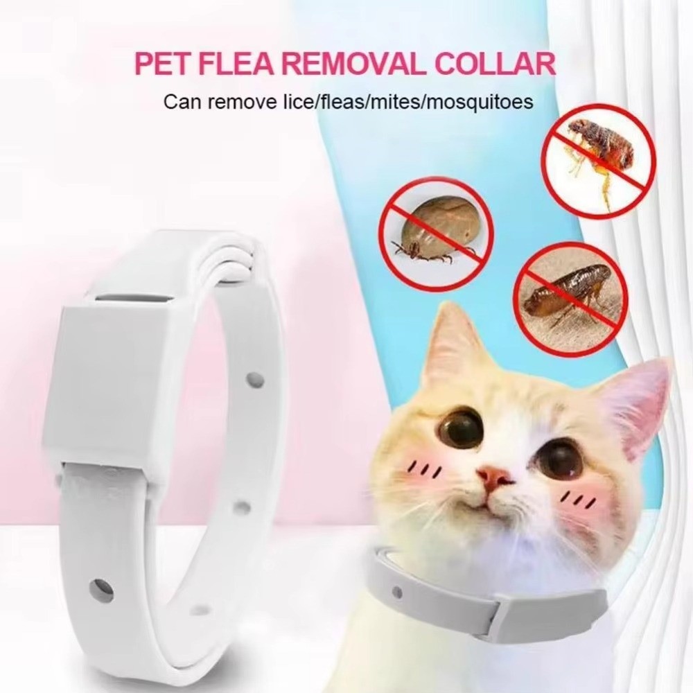 Protection Adjustable Flea Tick Collar Non Toxic Water-Resistant Pet Collar Safe Anti Lice Collar For Small Dogs Cats Kittens Puppies