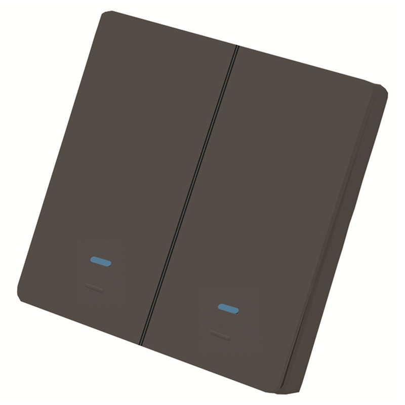OYPFXMI Tuya Smart Life WiFi Switch 86 Wall Switch 2 Gang Compatible Light Switch 10A 110V 220V Timer Function (Black)
