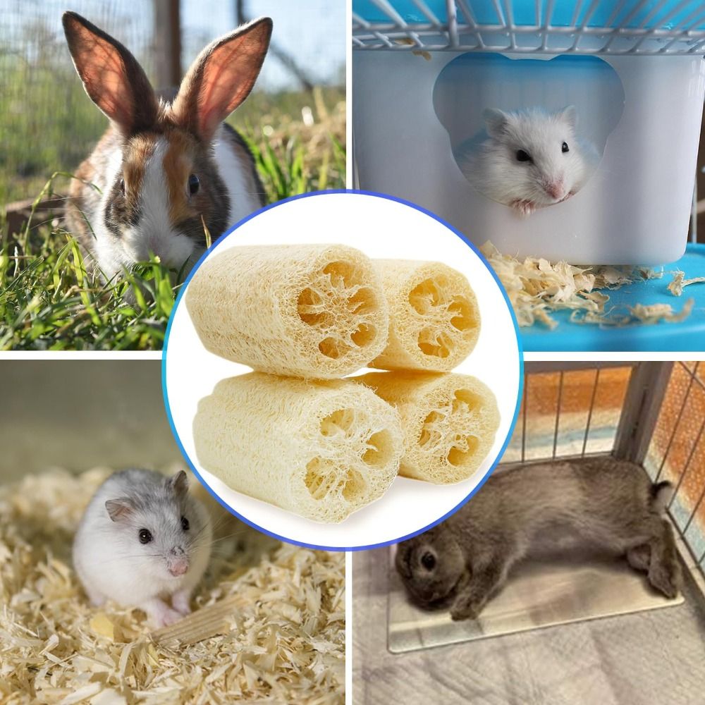 NEW Teeth Cleaning Loofah Toys Handmade Natural Hamster Chews Fiber-Rich Chewable Texture Rabbit Chew Toys Small Pets