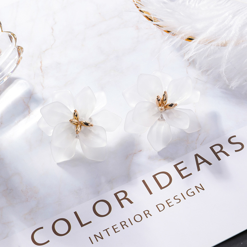 【Happy LifeStore】2023 New Statet Acrylic Big Orange Blue Stud Earrings For Wo Summer Sea Ear Accessories Brincos