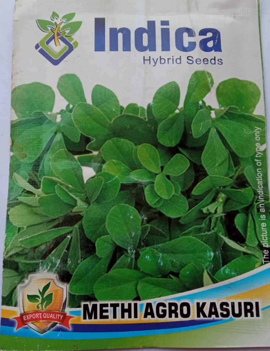 Vegetable Seeds - Methi Seeds 10 Gram Agro Kasuri Seeds