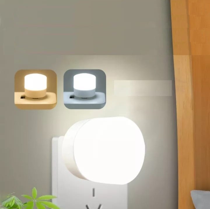 2 Pcs Of Mini Usb Light Bulb