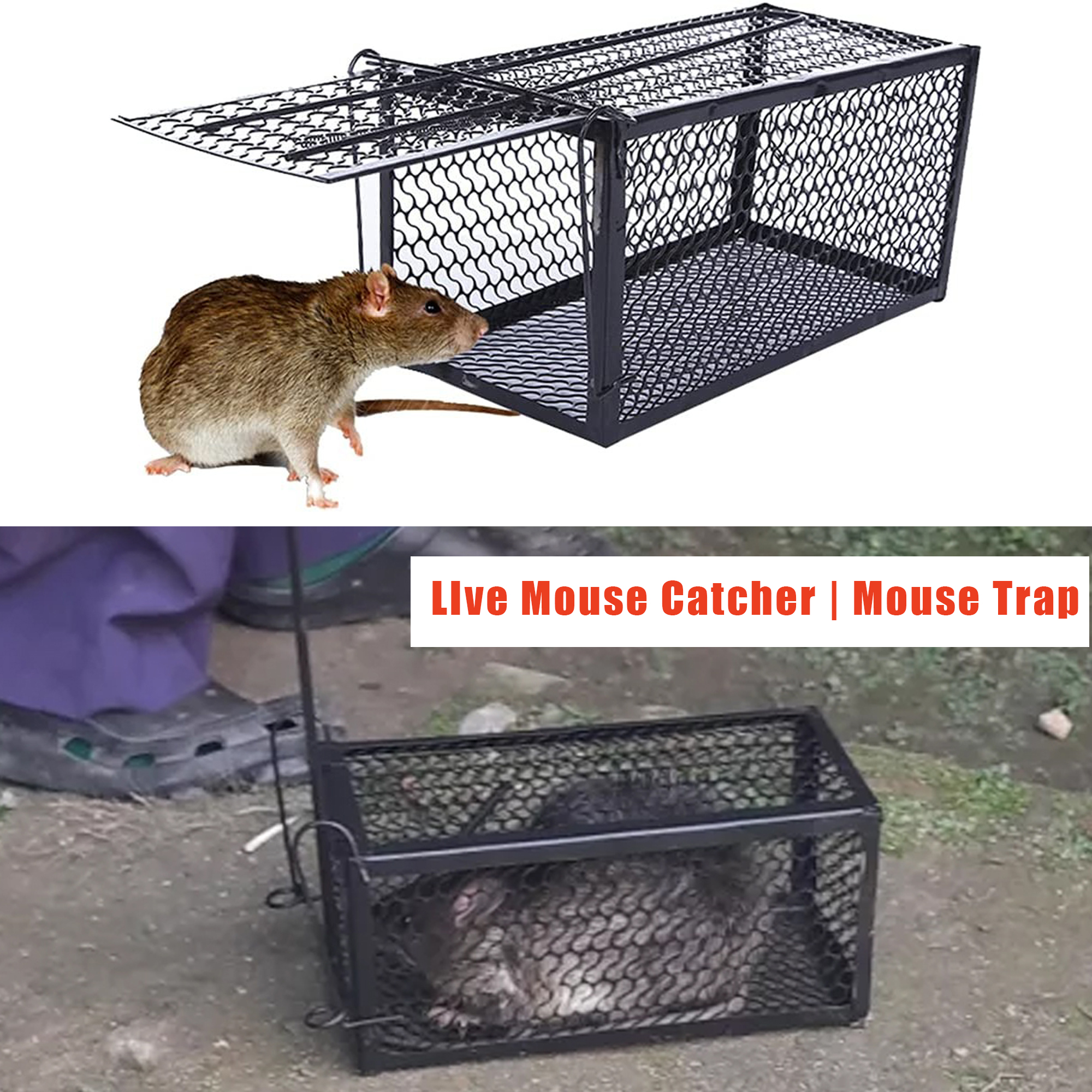 Reusable Traditional Metal Mouse Trap Cage - Humane Live Catch Rodent Control For Garden & Home | No-Kill Rat & Mice Trap Cage | Easy-To-Use Reusable Rodent Catcher