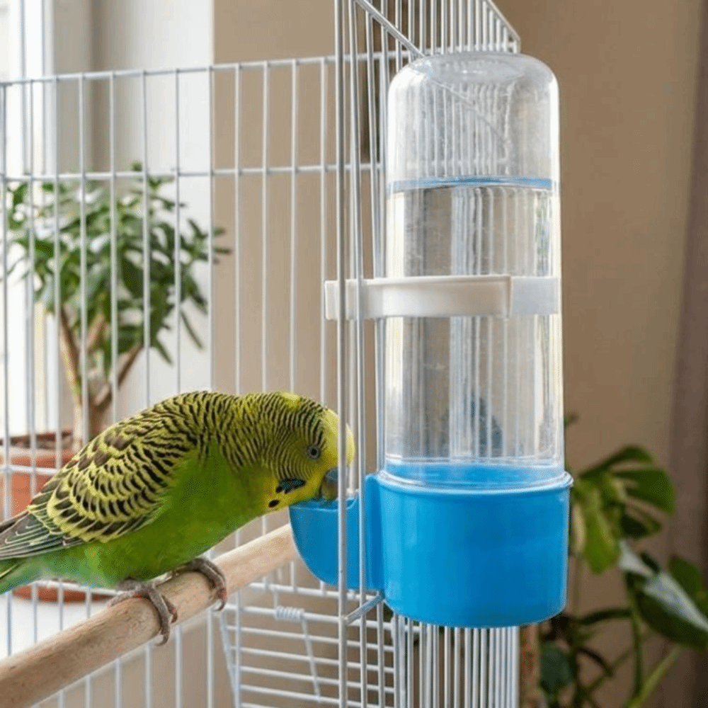 Portable 240ML Capacity Automatic Bird Feeder Leak-Proof Detachable Base Bird Water Dispenser Hummingbird Feeder Plastic Parrot Drinking Bottle Aviary