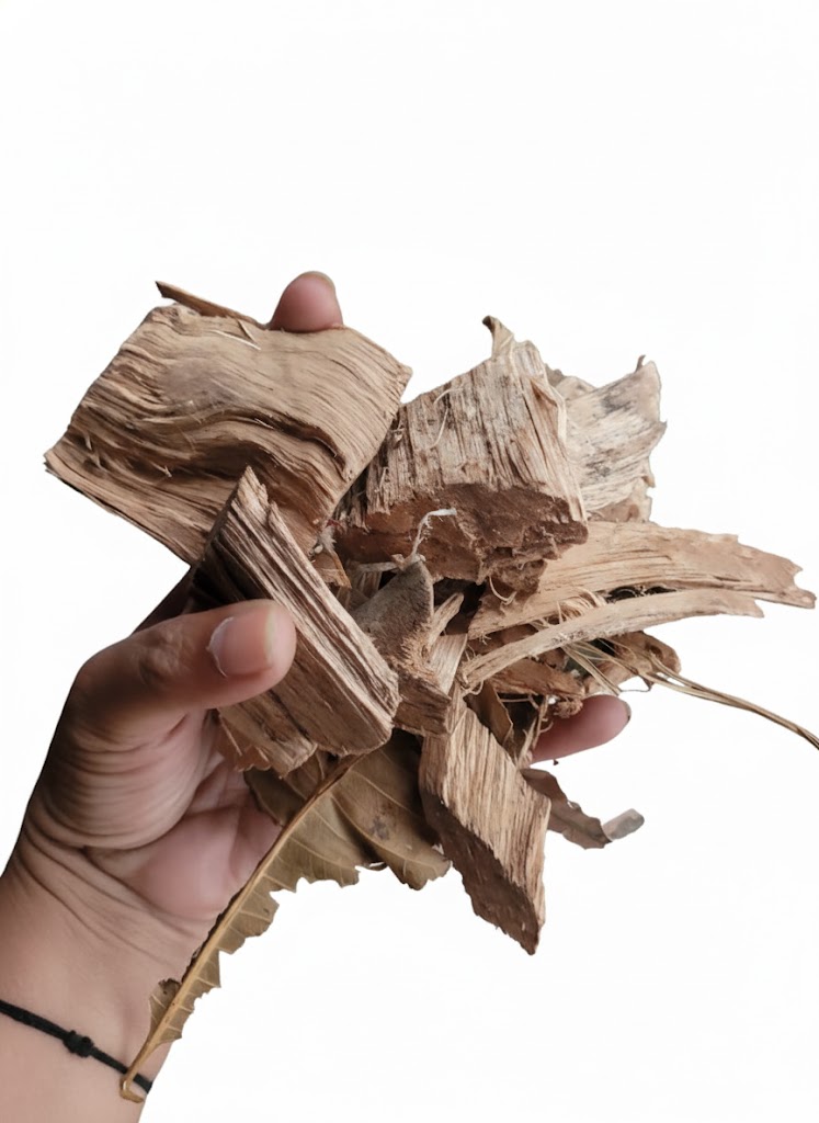 FR 2 Kg of Wooden Chips for Burning Dried For Quick Fire Starter / Barbecue / Mango Wood Organic Wood Chip Natural Premium Quality Raw Wooden Chips for Burning