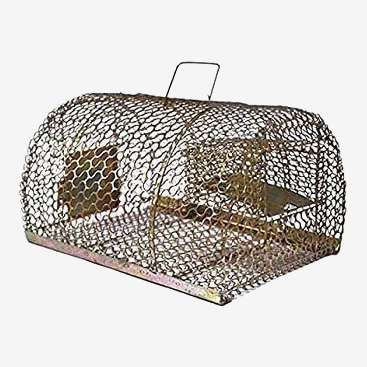 Iron Trap/Cage for Catching Rat/Mouse/Rodent/Chipmunk/Squirrels, Humane(No Kill), Big Size & Durable