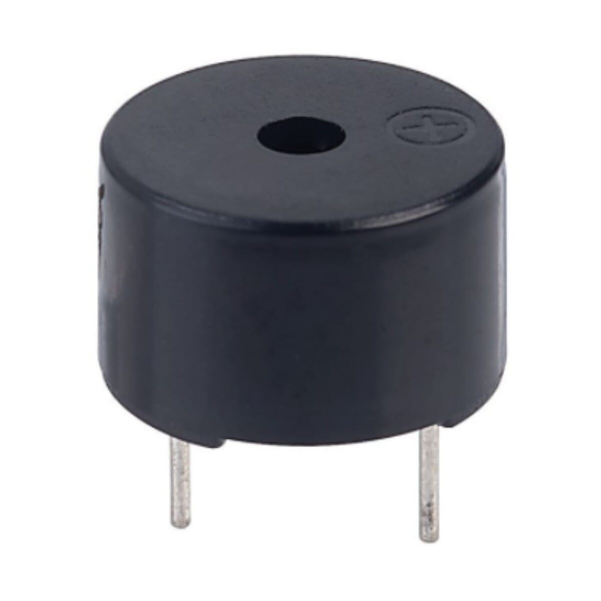 Buzzer 5-12V (1 x 0.8 inch) Large Size