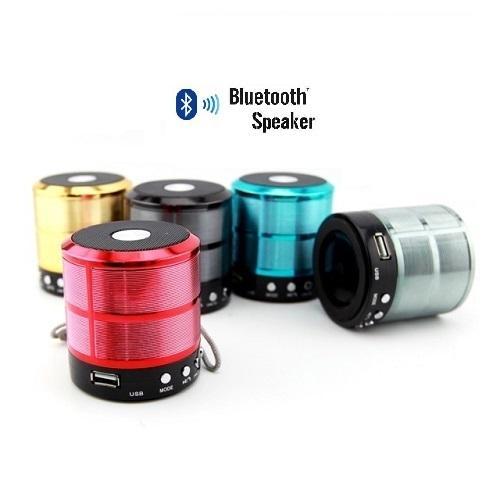 WS-887 Mini Bluetooth Speaker With Aux Usb Support, MODEL NO:WS887BTSPKR