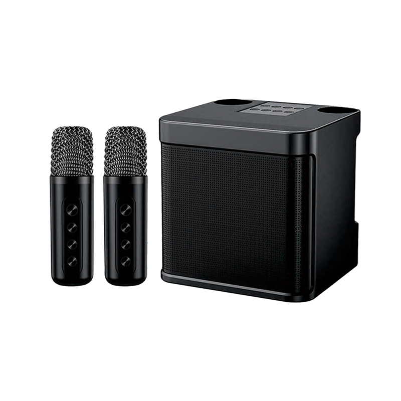 -203 Karaoke Set Wireless Dual Microphone Speaker Machine black