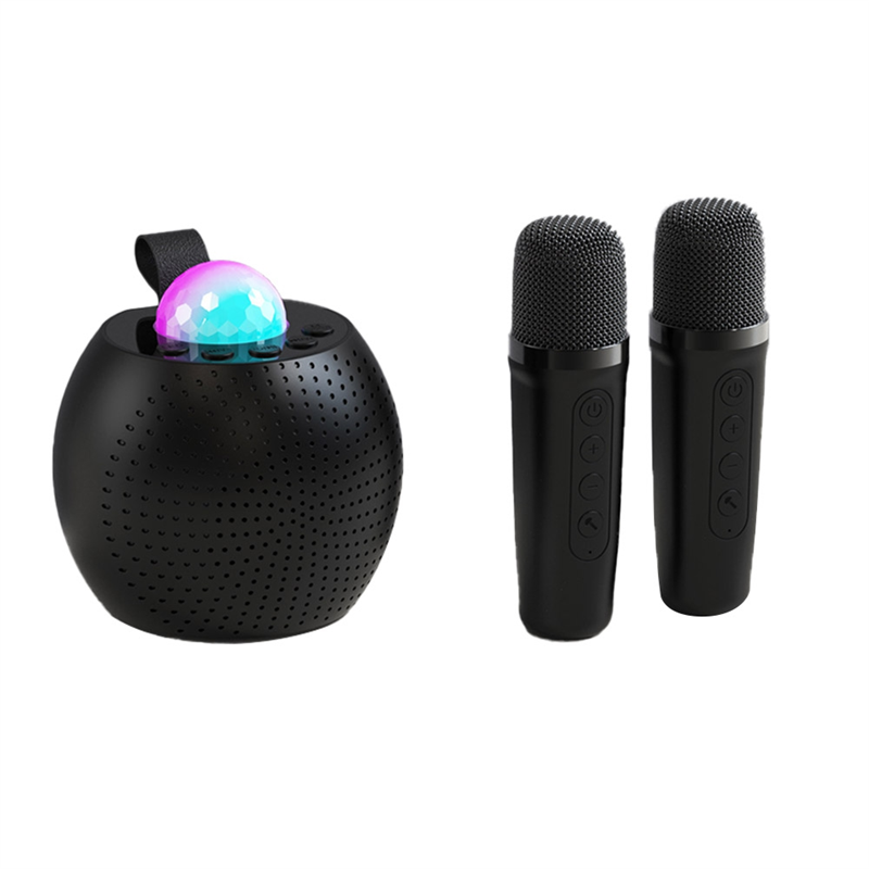 Portable Bluetooth Karaoke Speaker with 2 Wireless Microphones LED Lights for Birthday Parties