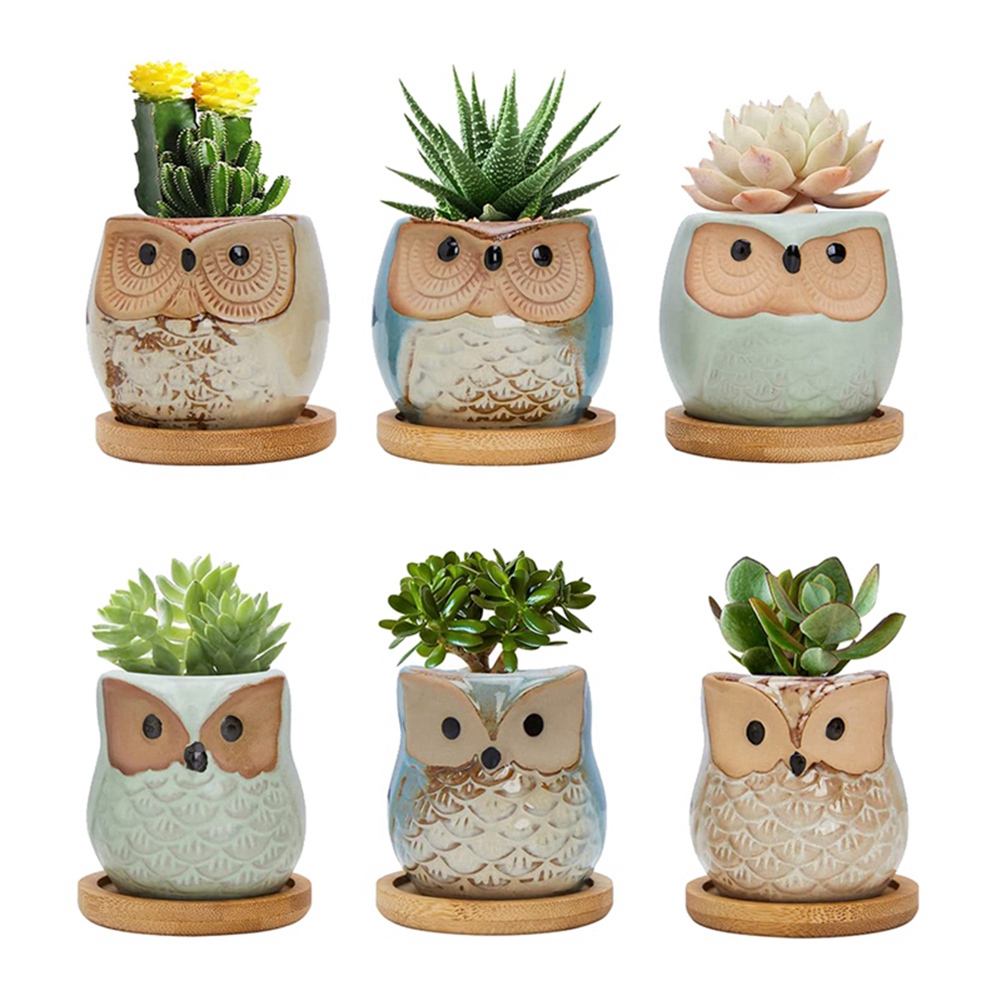 Owl Succulent Pots, Cute Owl Cactus Pots Animal Plant Pot