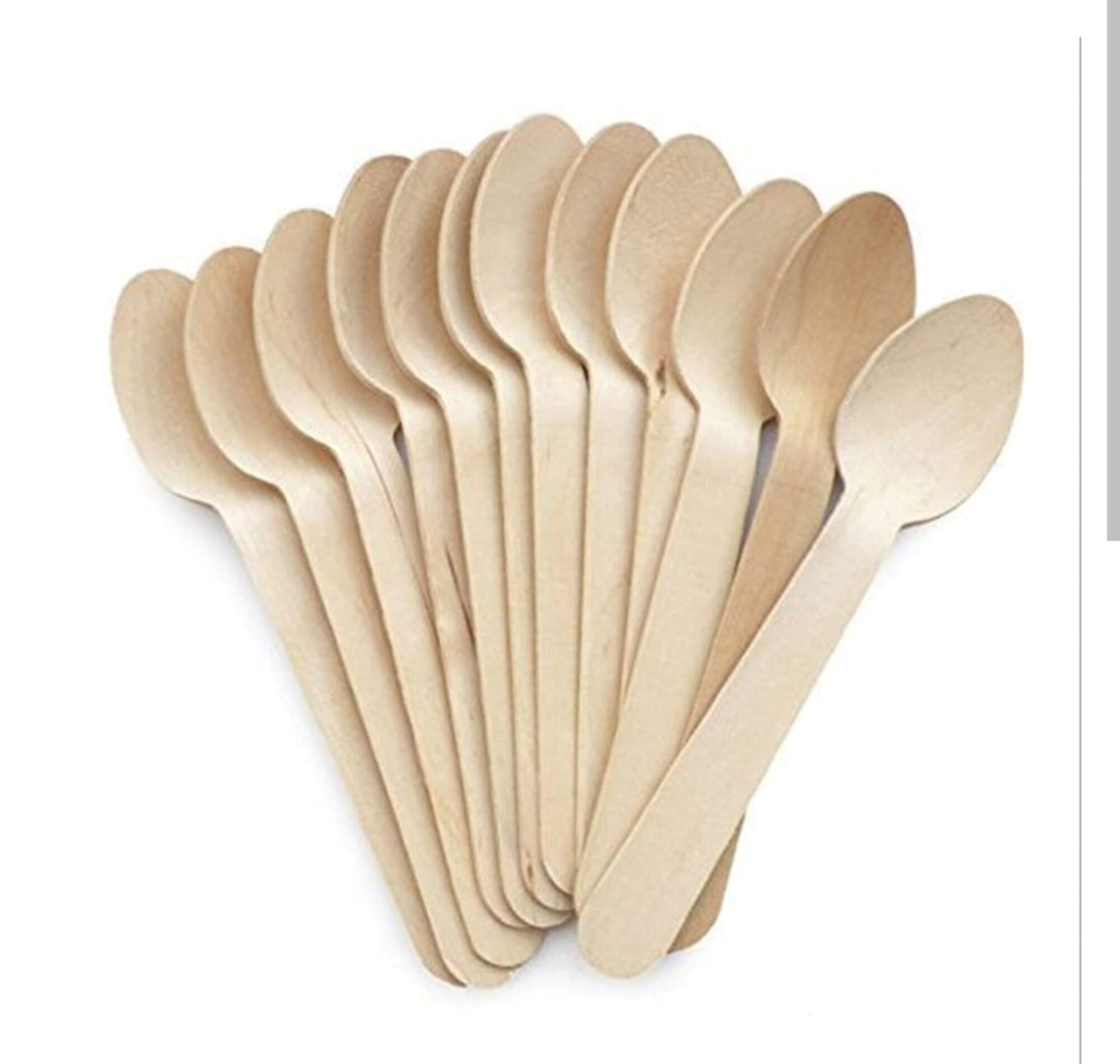 Disposable Bamboo Spoon set 100 pcs