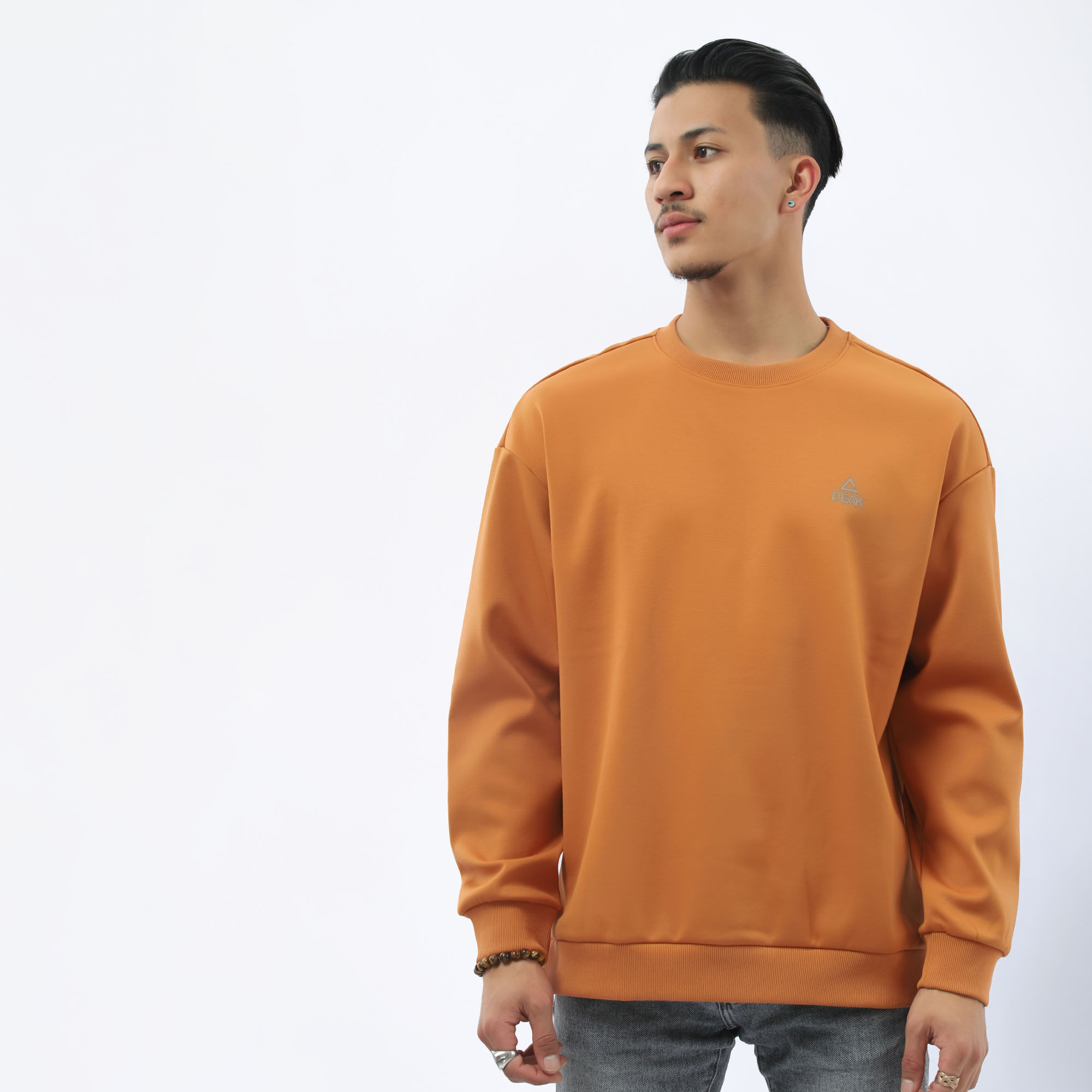 PEAK Sweatshirt Brown for Men FW614561