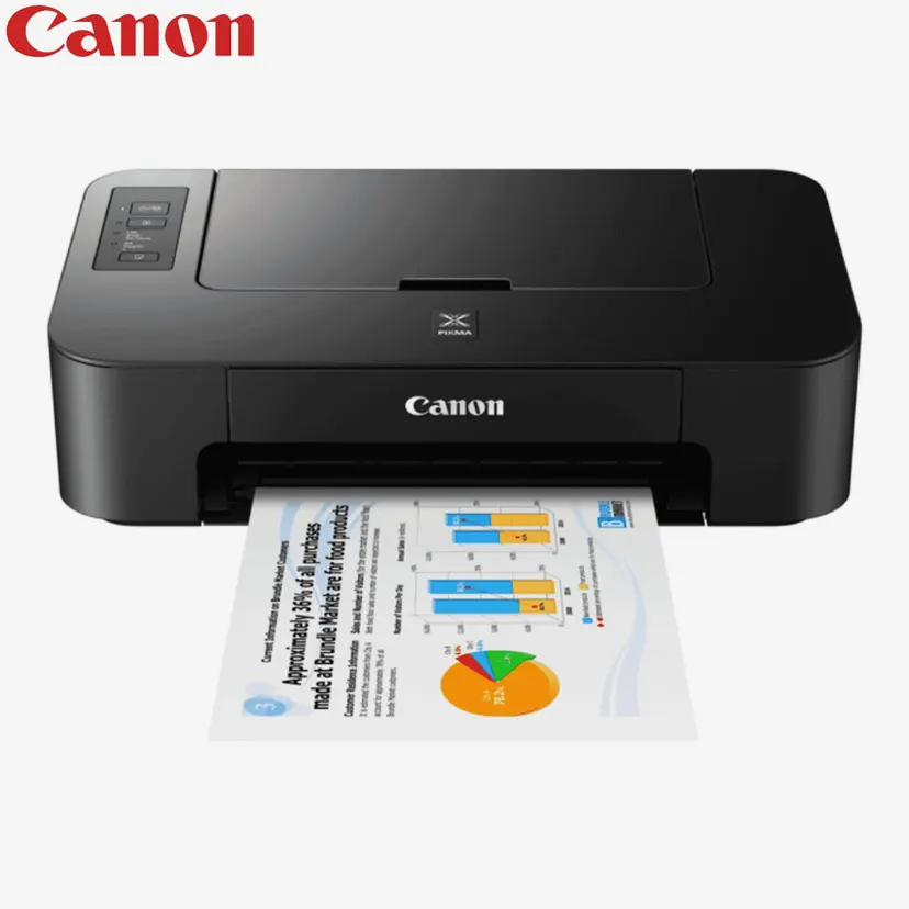Canon Pixma TS207 Single-Function Inkjet Printer