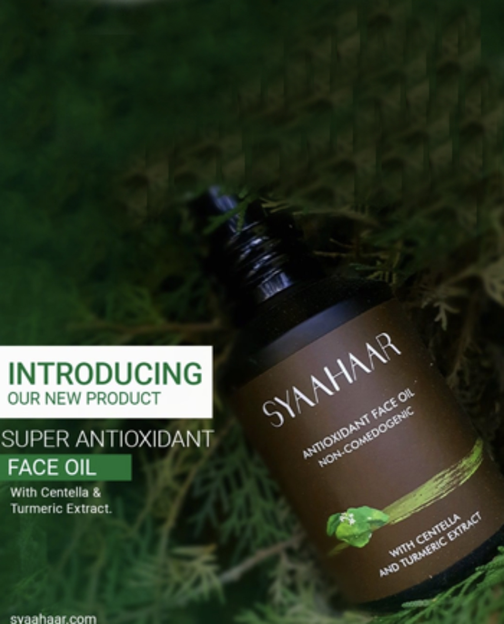 Syaahaar Antioxident Face Oil with Centella and Turmeric Extract-100 ml