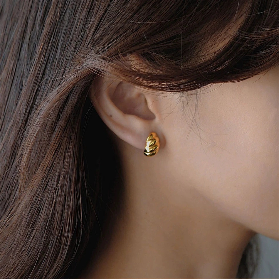 arrivals】Ins Wind Twist Women's French Temperament Alloy Horn Bag Earrings Thread Earrings