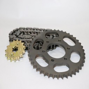 Rolon Bajaj Pulsar DTS-I ( 6 Hole ) Chain Kit
