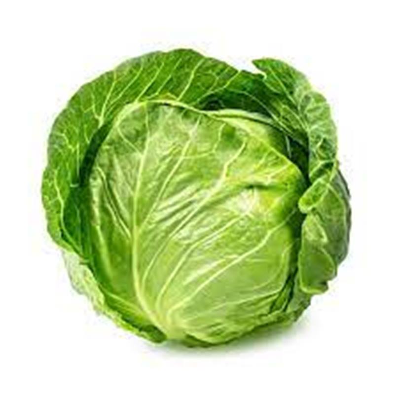 Cabbage Seeds Agro Ball 2 Gram