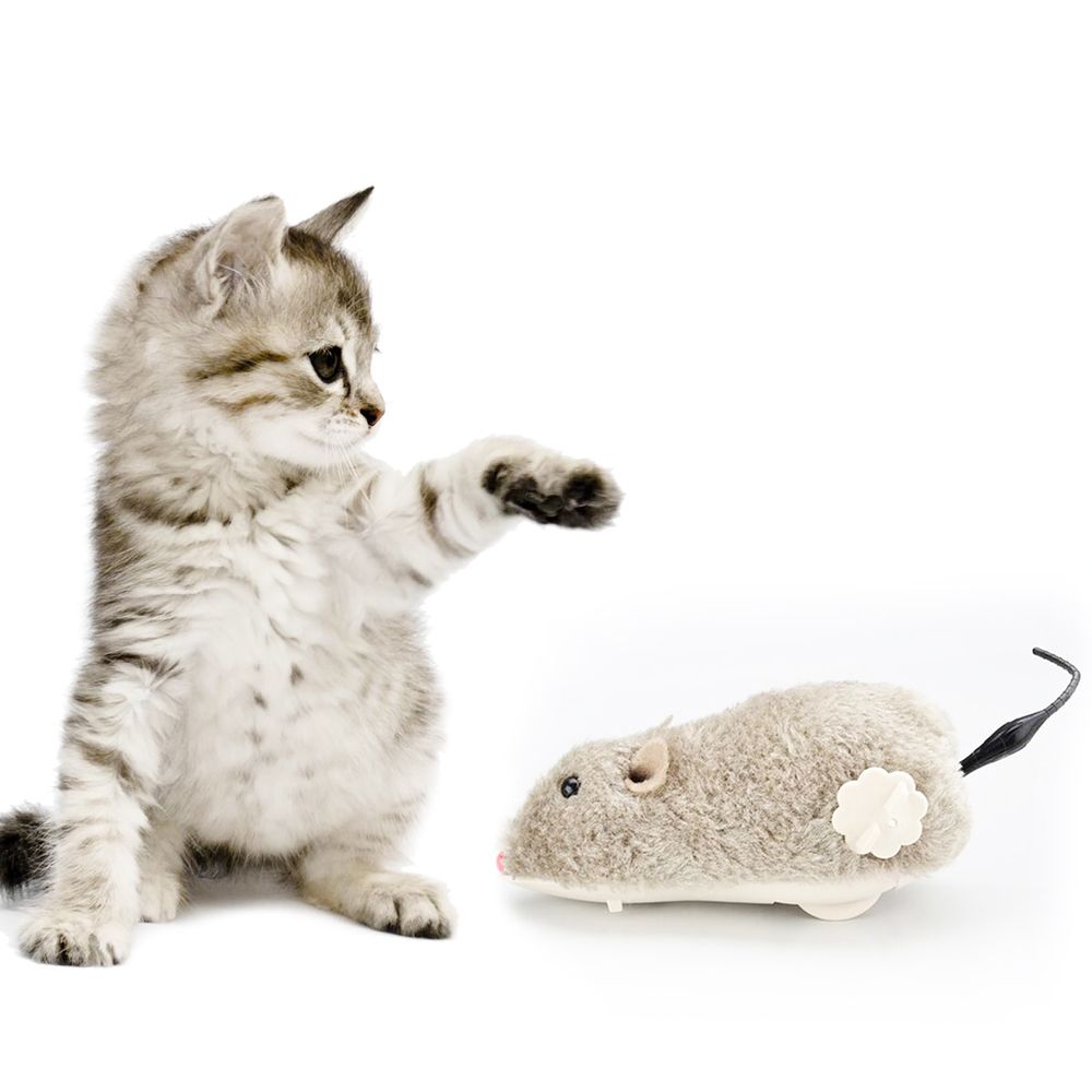 1Pc Supplies Simulation Rat Power Mechanical Motion Pet Products Wind Up Mouse Cat Dog Playing Clockwork