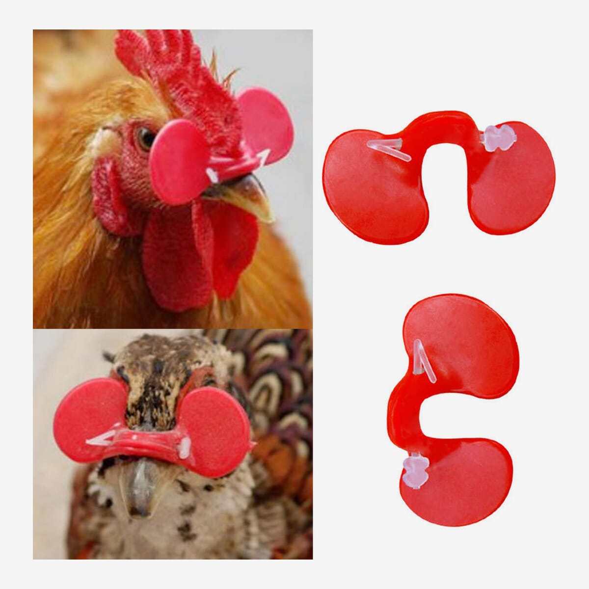 Bird Blinder 10 Pcs